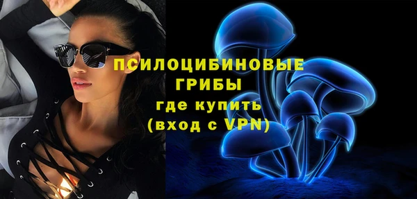 ПСИЛОЦИБИНОВЫЕ ГРИБЫ Краснослободск