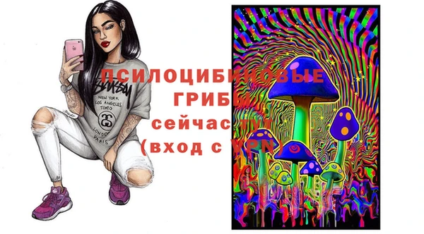 трава Абаза